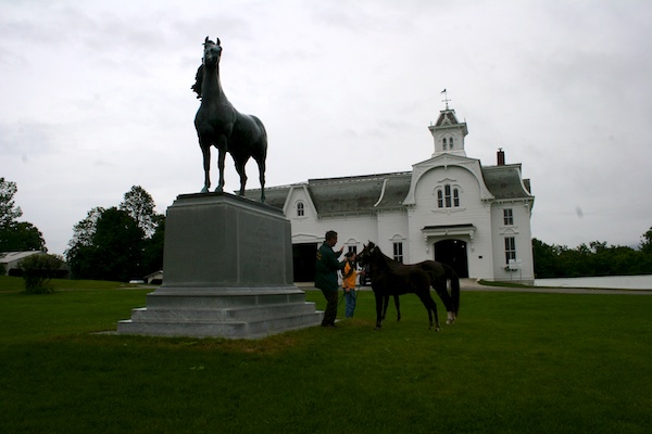 UVM Morgan Horse Farm